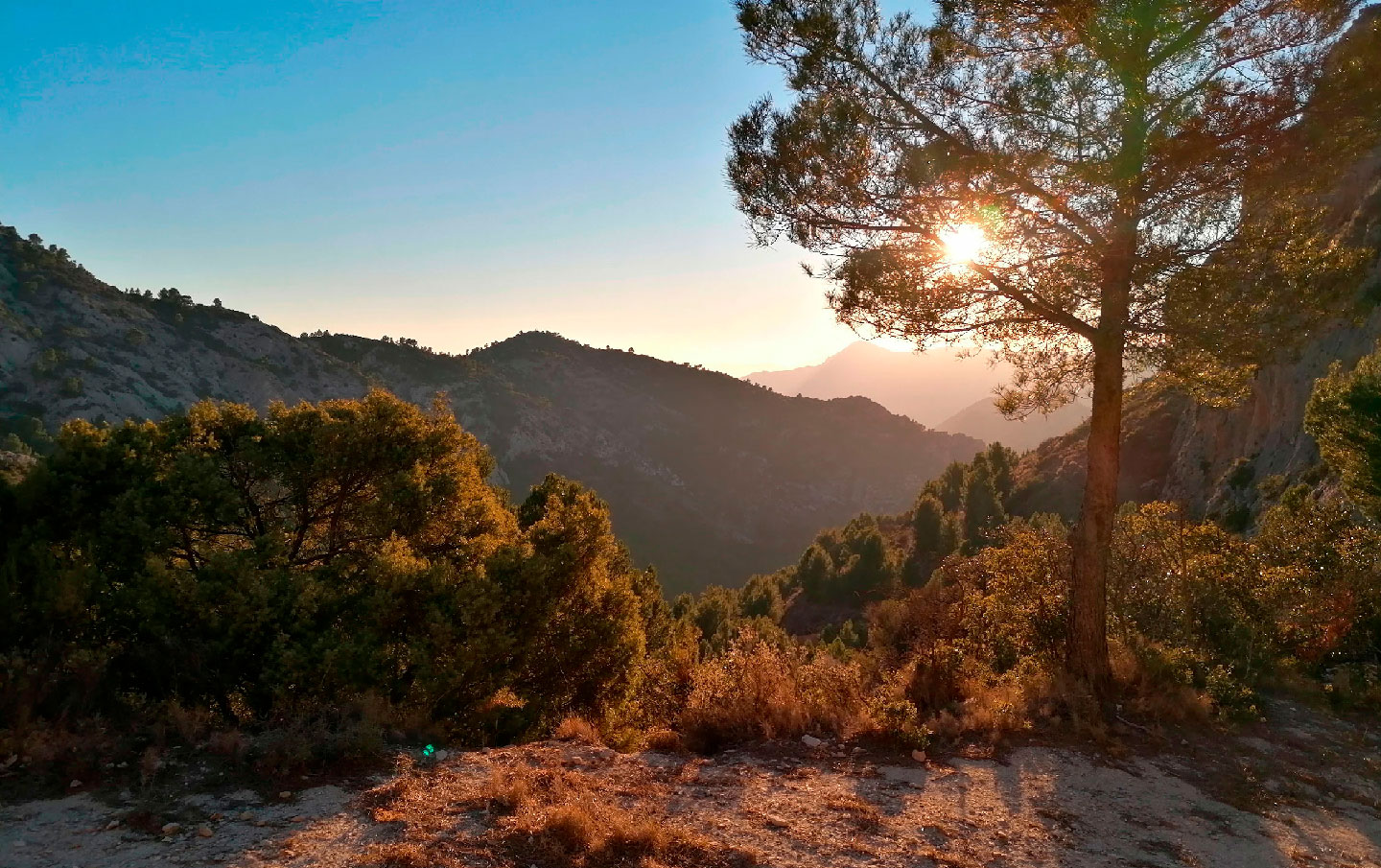 Alicante running camp